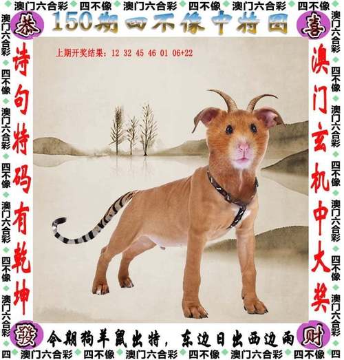 澳彩资料免费提供资料:莫斯科连续3天遭袭