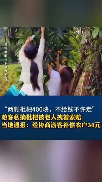 新澳彩免费长期资料大全:老人上树摘枇杷被困