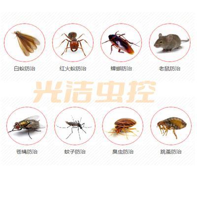 85118cσm查询澳彩内部资料:全季酒店出现蟑螂