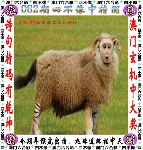 2025澳门天天开好彩大全2023:白象就多半发声明