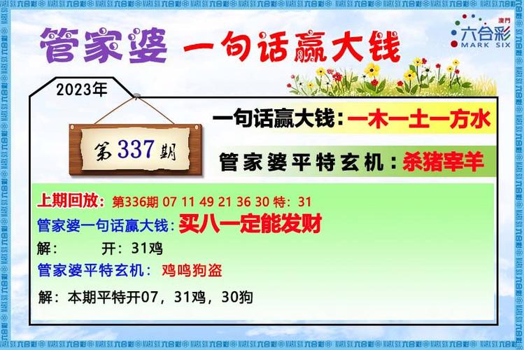 2025澳门天天开好彩大全2023:火山喷发时游客急逃