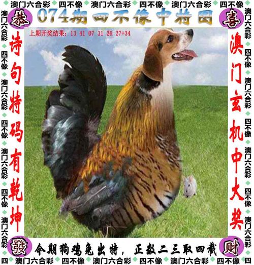 新澳彩免费长期资料大全:商家互砸西瓜丢荔枝